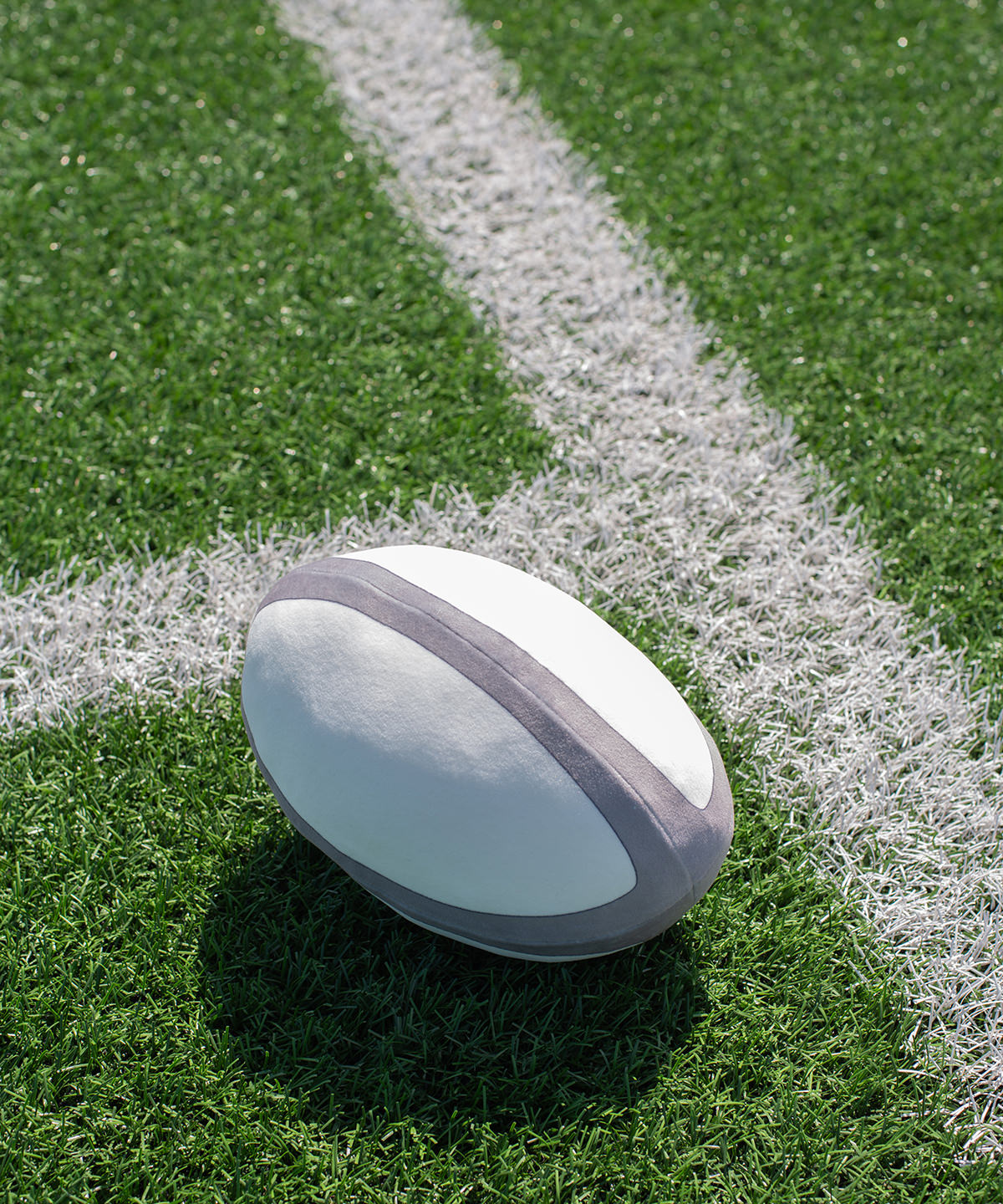 Tryck din logga på Mjukdjur från Mumbles - Anpassa Zippie rugbyboll i färgen för företag, föreningar och privatpersoner