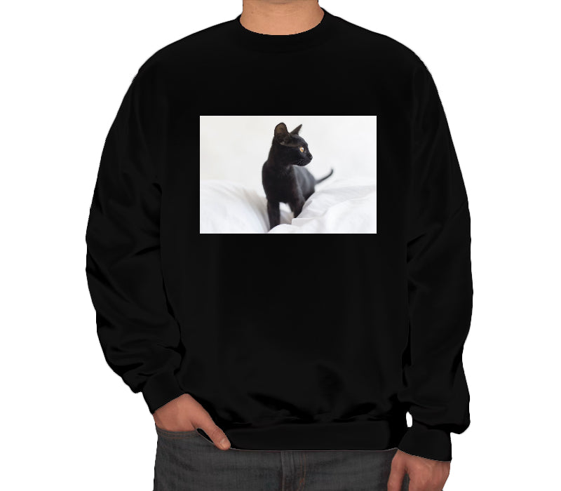 Tryck din logga på Sweatshirts från Impala Print Shop - Anpassa Fruit Of The Loom - Premium-sweatshirt med set-in för barn i färgen för företag, föreningar och privatpersoner